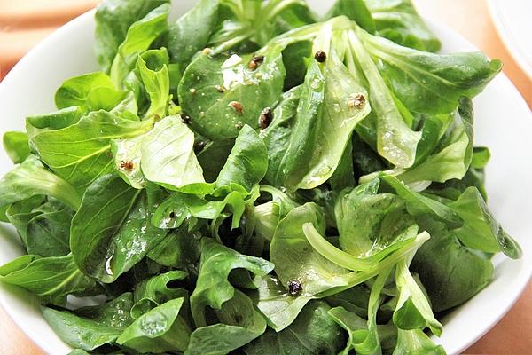Lamb`s Lettuce with Juniper Dressing