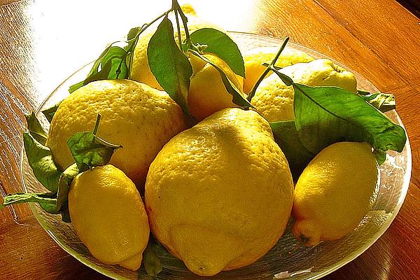 Limoncello Di Campania