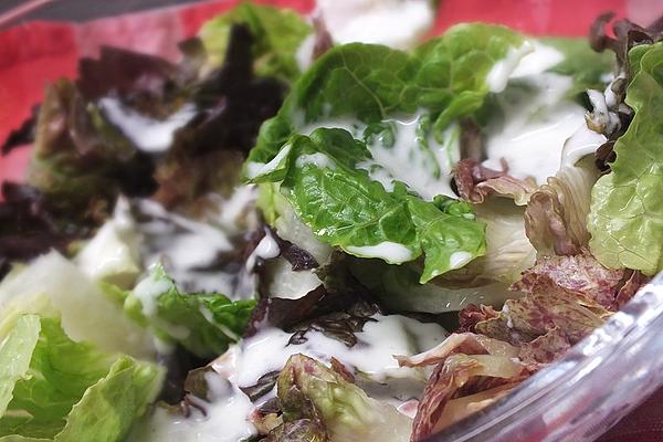Low Carb Dressing Sylter Art
