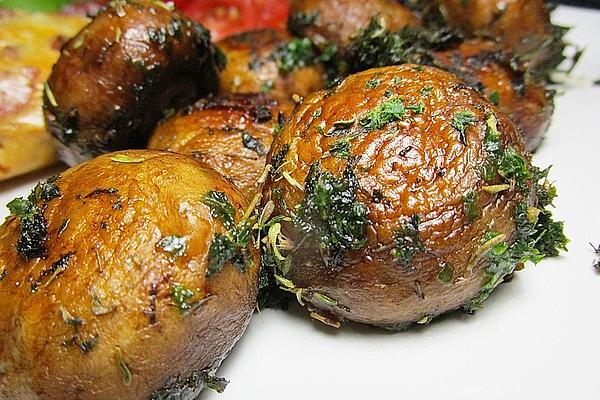 Mallorcan Mushrooms