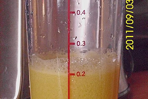 Mango – Melon – Juice