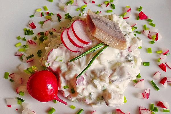 Matjes in Radish Cream
