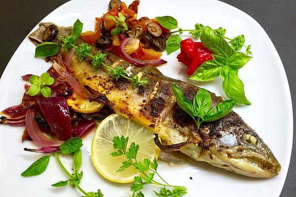 Mediterranean Salmon Trout