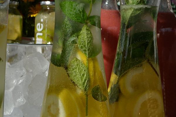 Mint – Lemon Refreshment