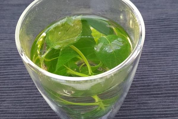 Mint Tea