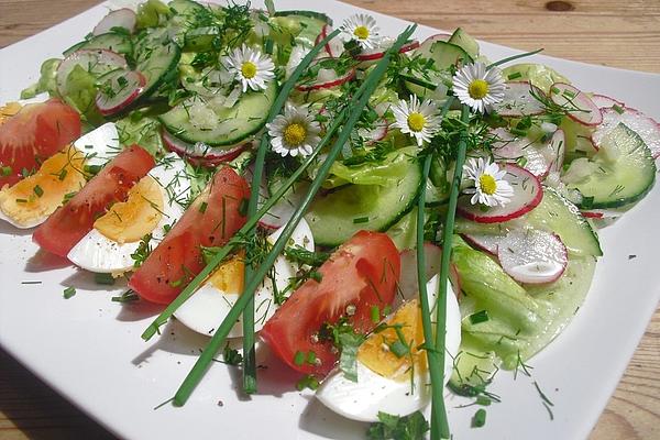 Mixed Salad with Wild Herbs