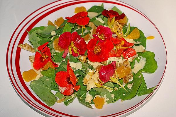 Nasturtium Salad with Yogurt Sauce
