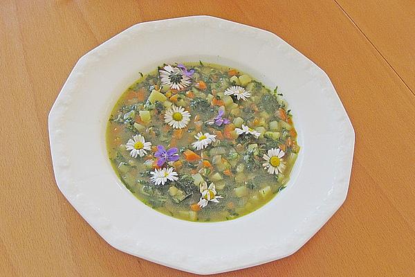 Nettle and Daisy Soup