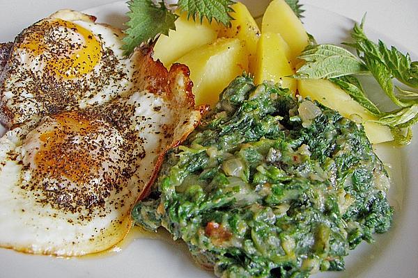 Nettle – Vegetable