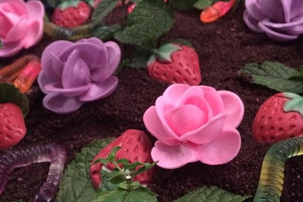 Oreo Flower Pots