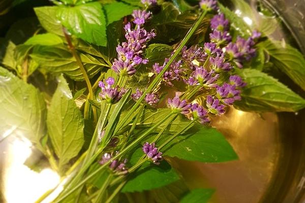 Peppermint Syrup with Lavender