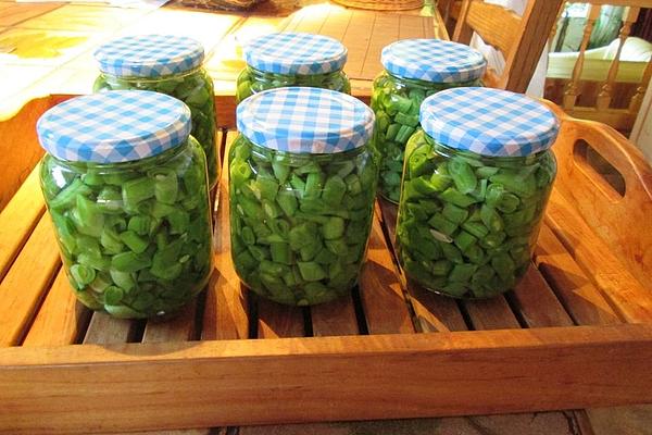 Pickled Runner Beans Sweet and Sour