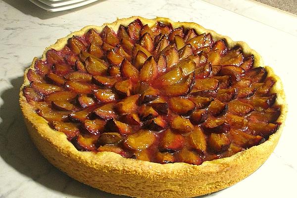 Plum Cake My Way