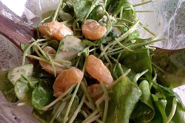 Postelein – Salad with Egg and Tangerines on Light Yogurt Sauce