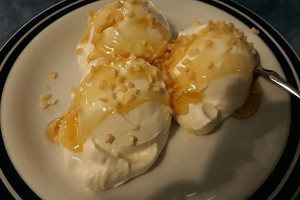 Quick Vanilla Ice Cream