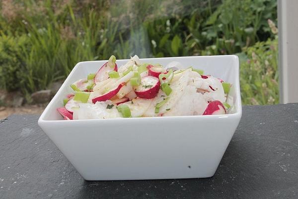 Radish and Radish Salad À La Gabi