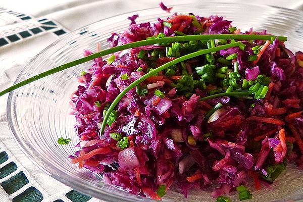 Red Cabbage and Apple Salad