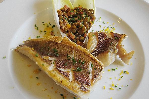 Red Snapper on Warm Lentil Salad