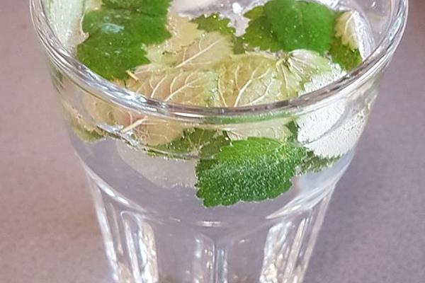 Refreshing Summer Drink with Lemon Balm