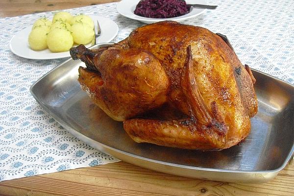 Regina`s Turkey