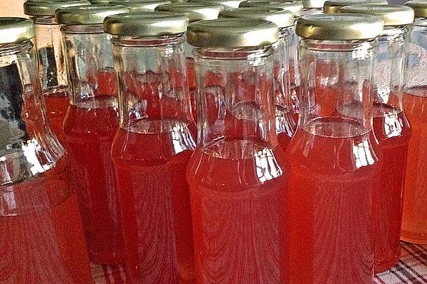 Rhubarb Syrup