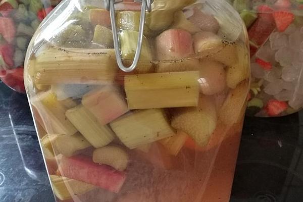 Rhubarb – Vanilla – Liqueur