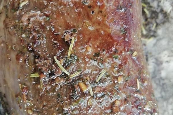 Roast Fillet Of Beef with Herb Crust – Delicious Alternative To Steak