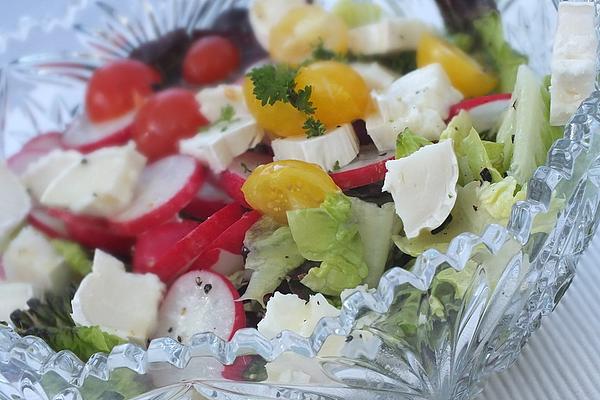 Romaine Lettuce with Radishes, Tomatoes and Sheep Cheese and Roasted Sesame Seeds