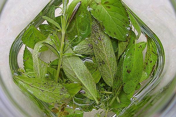 Sage – Liqueur