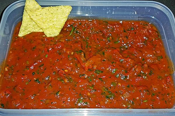 Salsa Dip for Nachos