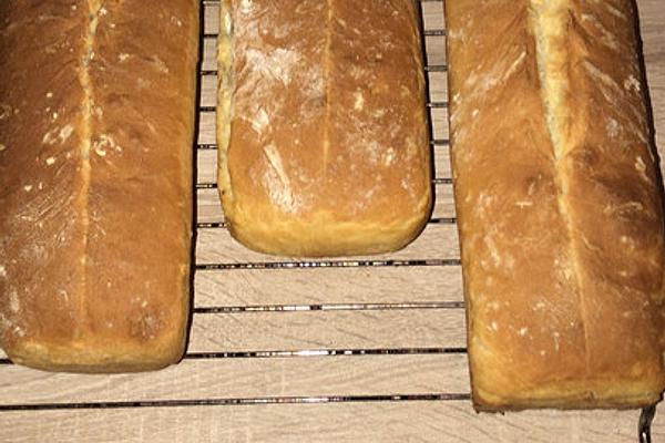 Sandwich Bread with Hermann
