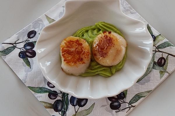 Scallop on Avocado Cream