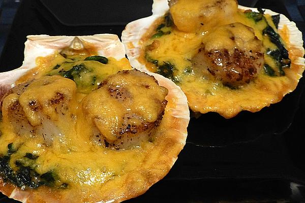 Scallops Au Gratin