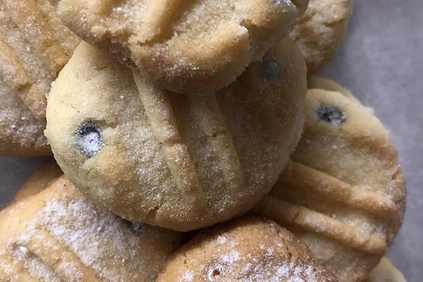Simple Custard Cookies