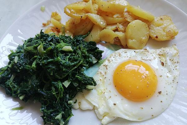 Spinach Leaves