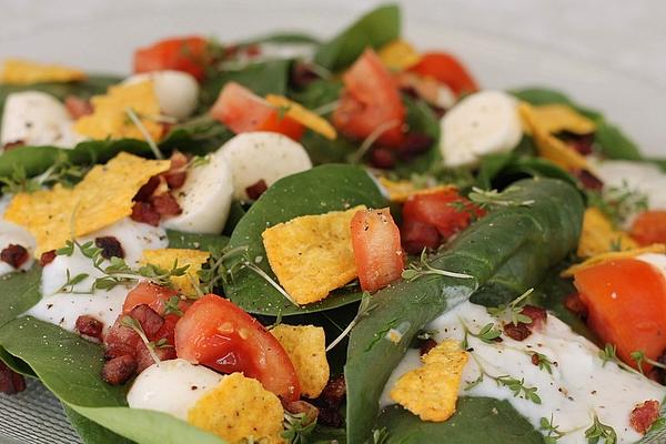 Spinach Salad with Ranch Dressing and Nachos