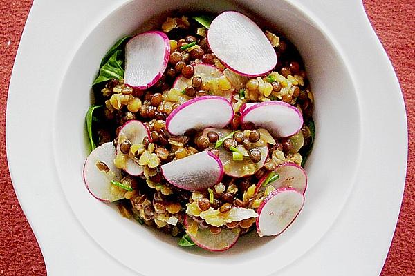 Three Lentil Salad