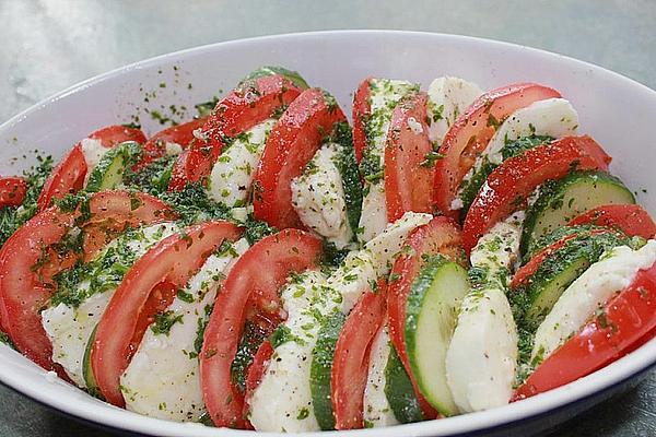 Tomato – Mozarella – Cucumber – Salad