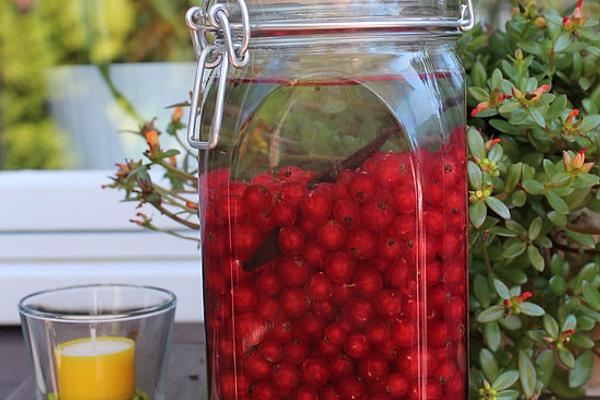 Topped with Red Currants