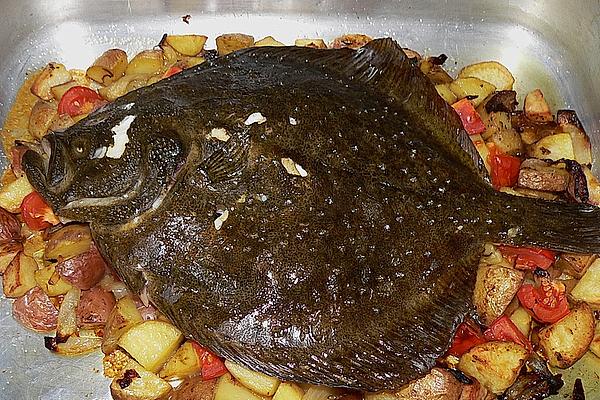 Tube Turbot with Mediterranean Vegetables