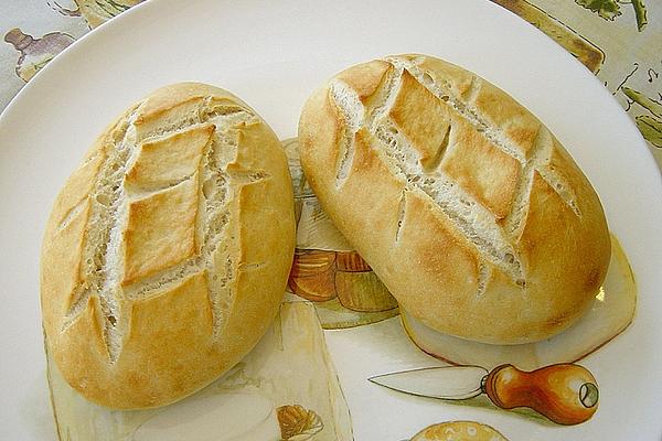 Well Barbari
