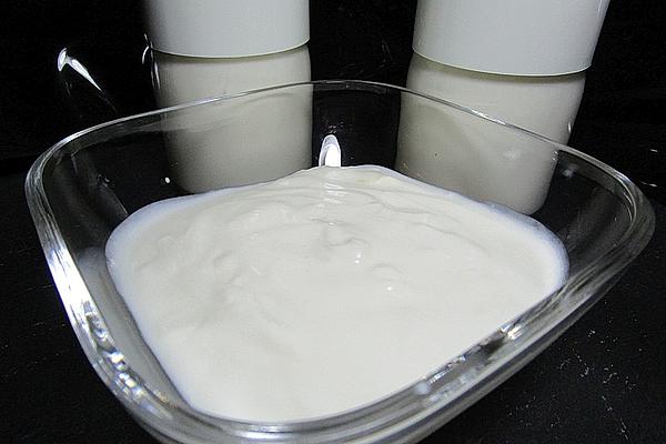 Yogurt