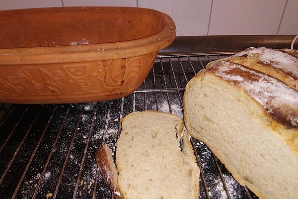 Yogurt Crust Bread