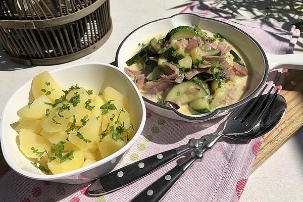 Zucchini Vegetables