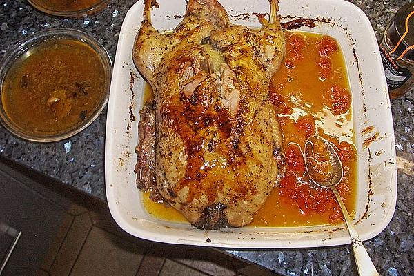 5 Hours – Orange Duck