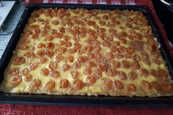Alsatian Almond and Mirabelle Cake