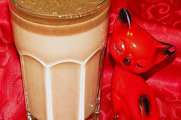 Andi`s Chocolate Kitten