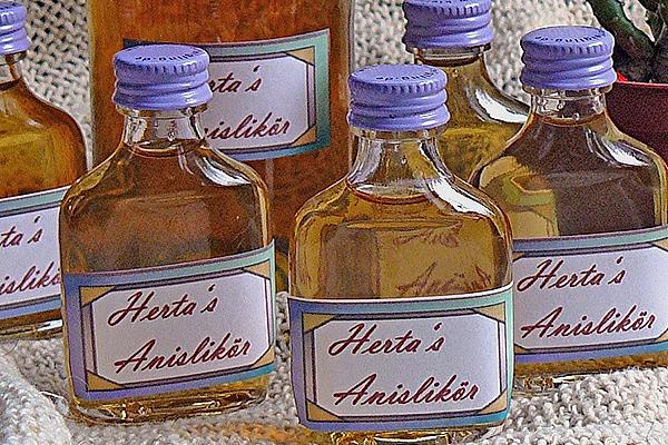 Aniseed Liqueur Made from Aniseed Seeds