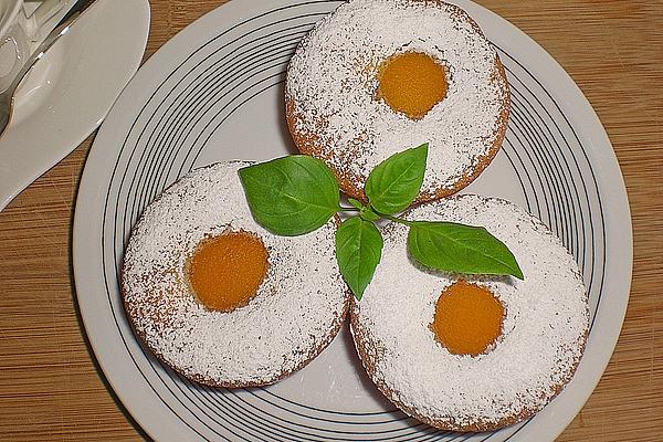 Apricot Muffins