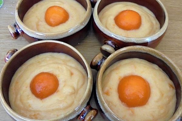 Apricot Pudding À La Didi